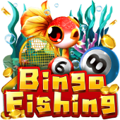 Câu Cá Bingo f16878 vil
